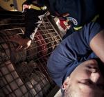 Grundausbildung-THW-Berlin-0103